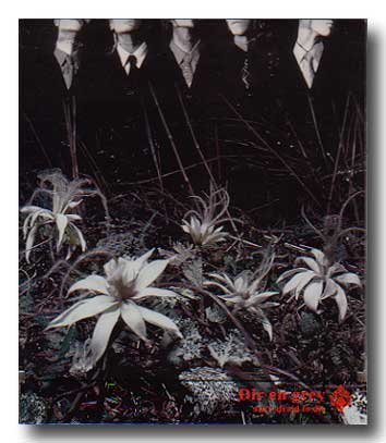 DIR EN GREY の CD ain’t afraid to die